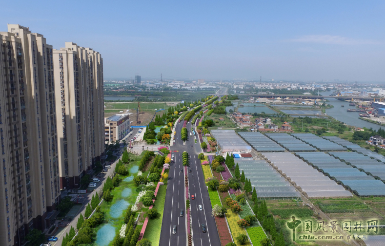 2016園冶杯:昆山市迎賓路改造工程綠化景觀工程設計