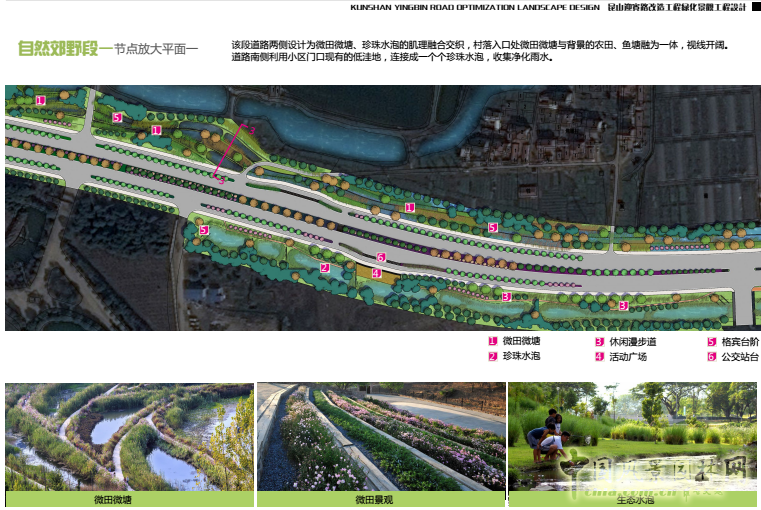 2016園冶杯:昆山市迎賓路改造工程綠化景觀工程設計