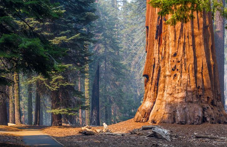 全球最美的8大國家公園