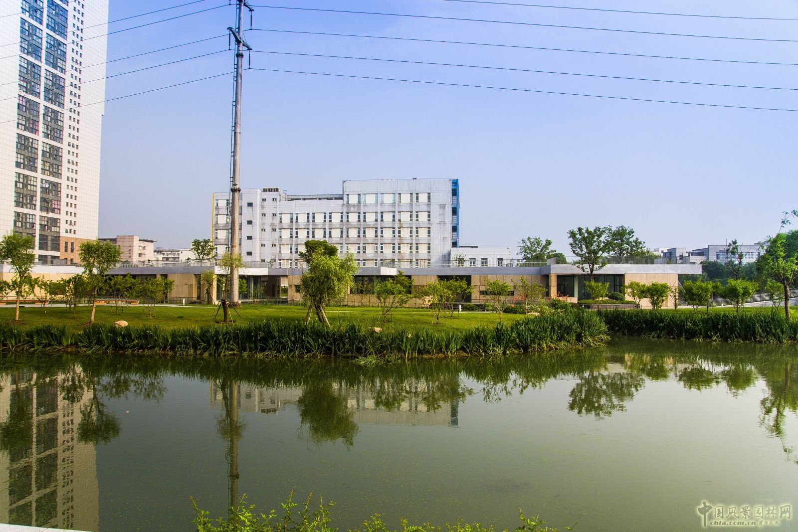 2016園冶杯:閩江北岸休閑生態公園景觀
