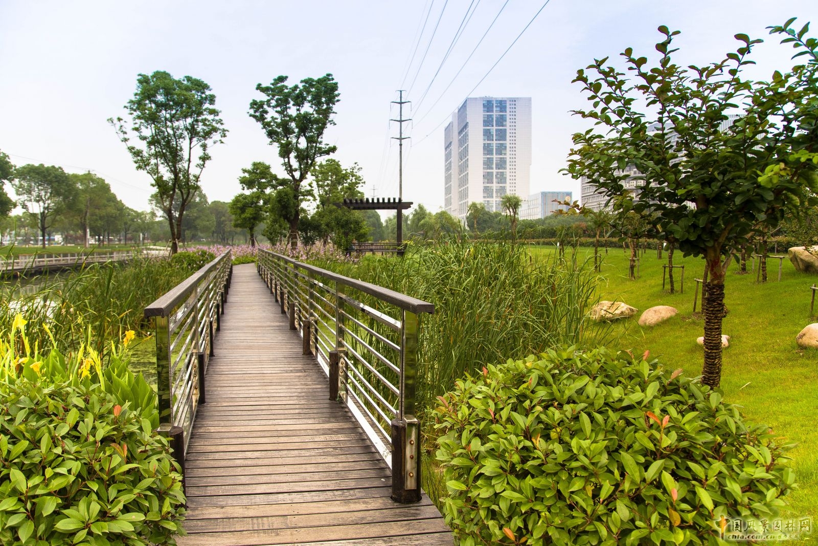 2016園冶杯:閩江北岸休閑生態公園景觀