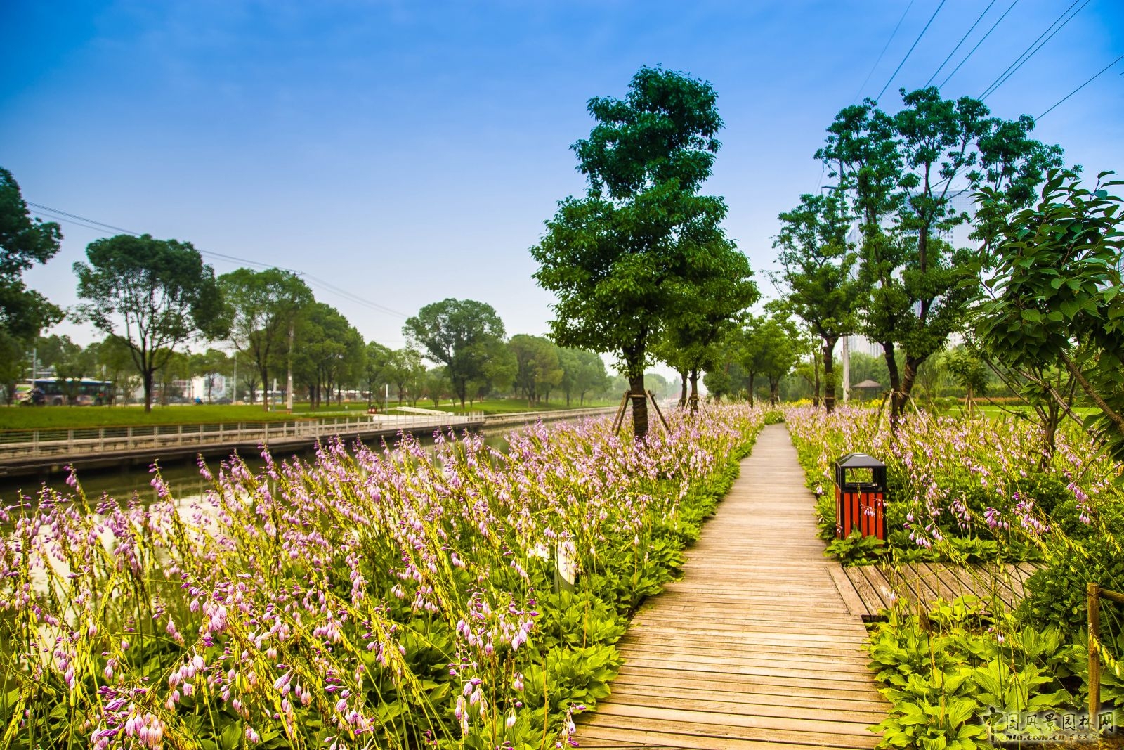 2016園冶杯:閩江北岸休閑生態公園景觀