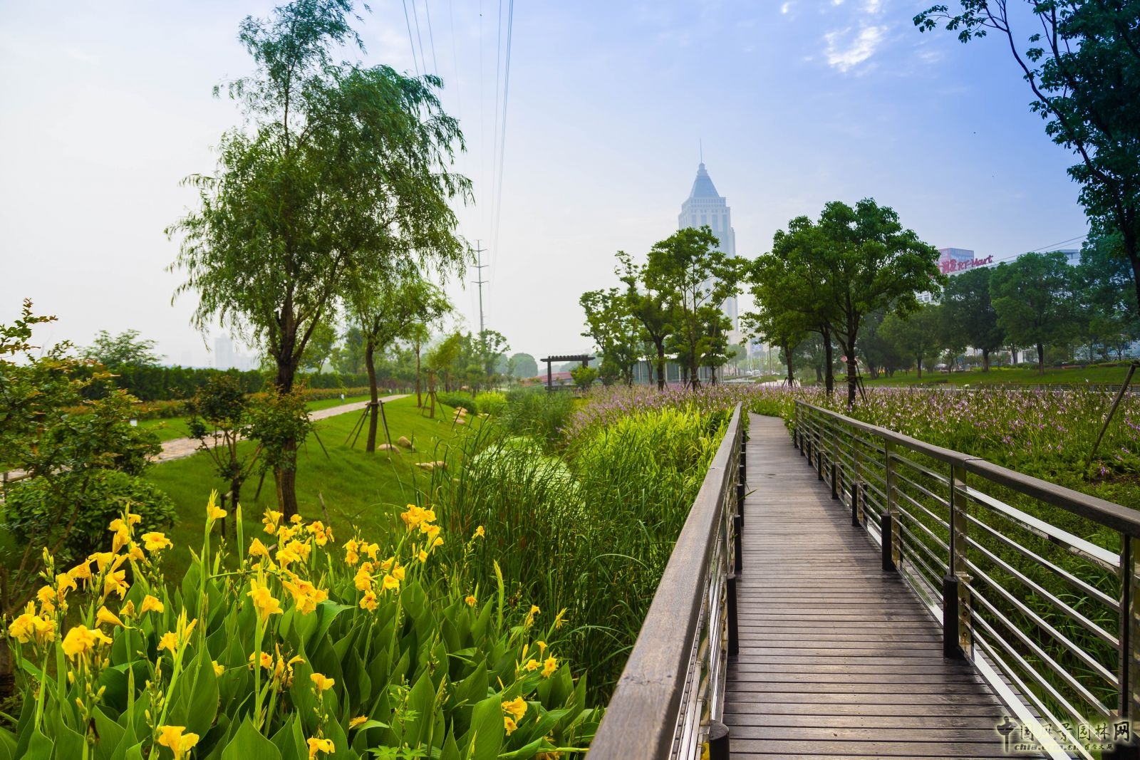 2016園冶杯:閩江北岸休閑生態公園景觀