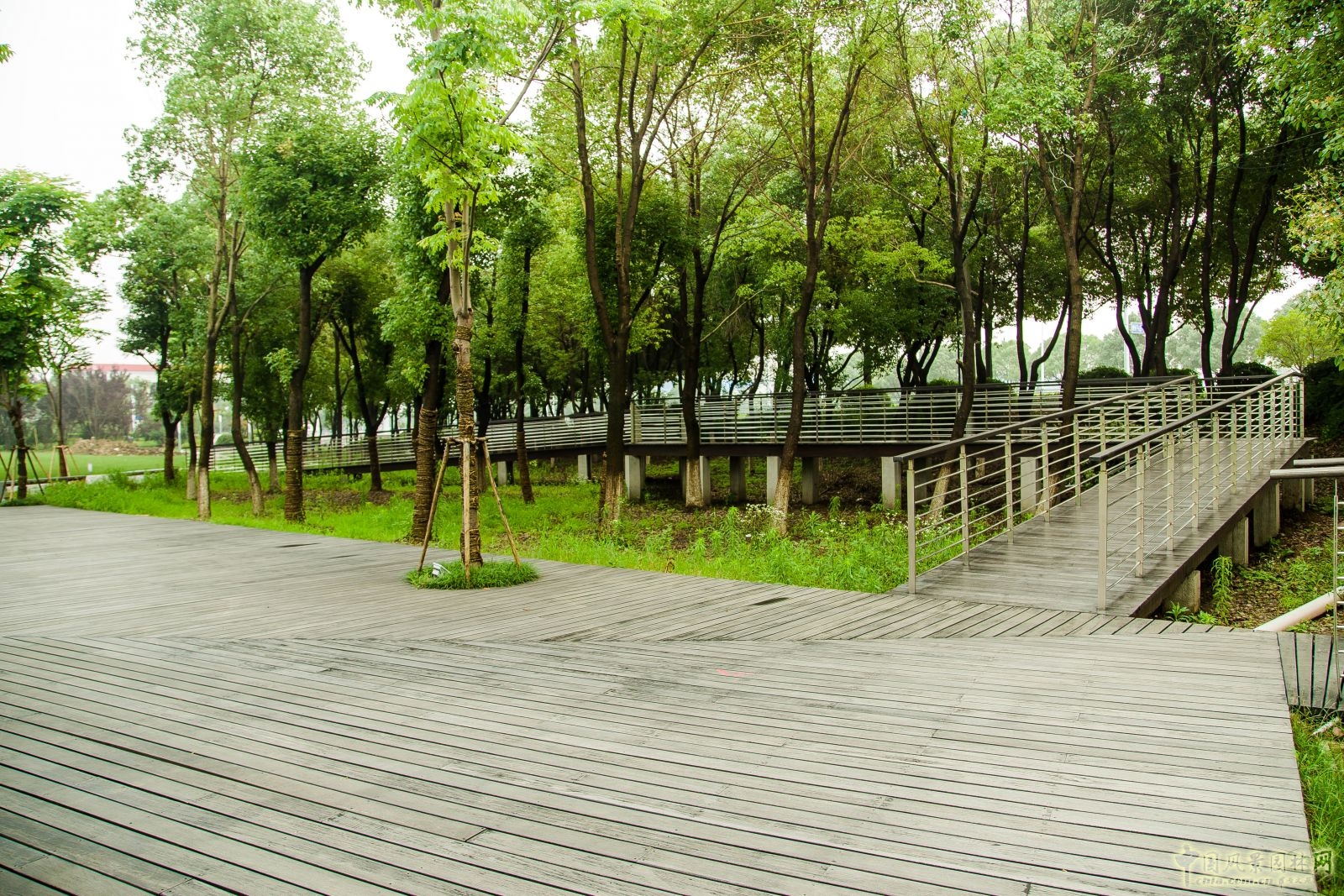 2016園冶杯:都市綠纖維---徐圖港綠化景觀改造工程