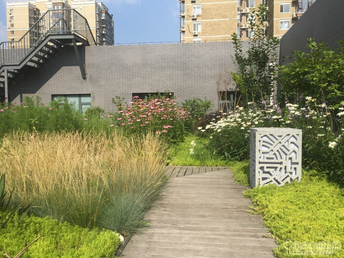 2016園冶杯:中國標準科技集團辦公樓屋頂花園