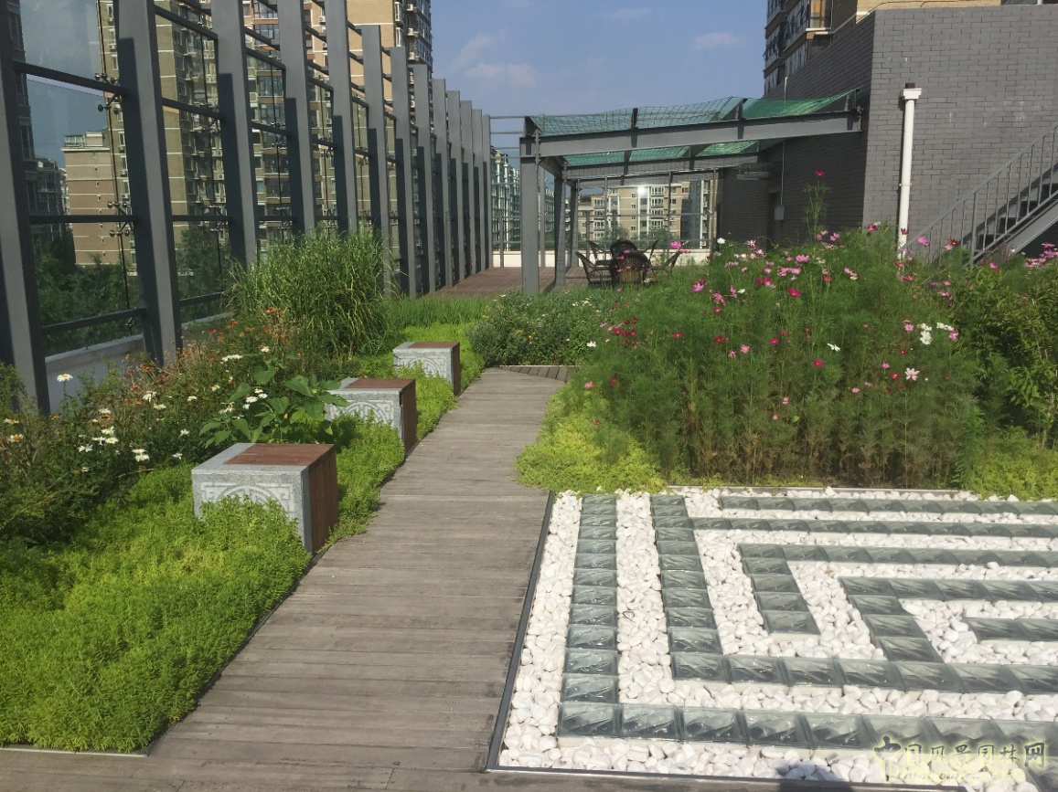 2016園冶杯:中國標準科技集團辦公樓屋頂花園