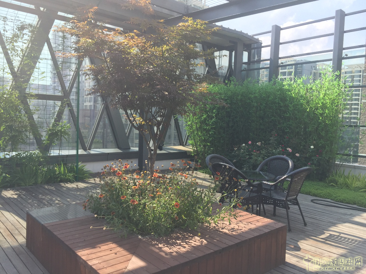 2016園冶杯:中國標準科技集團辦公樓屋頂花園