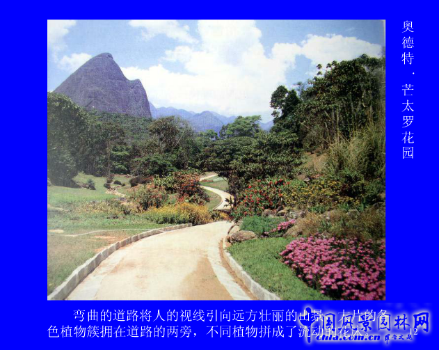 拉丁美洲的景觀設計