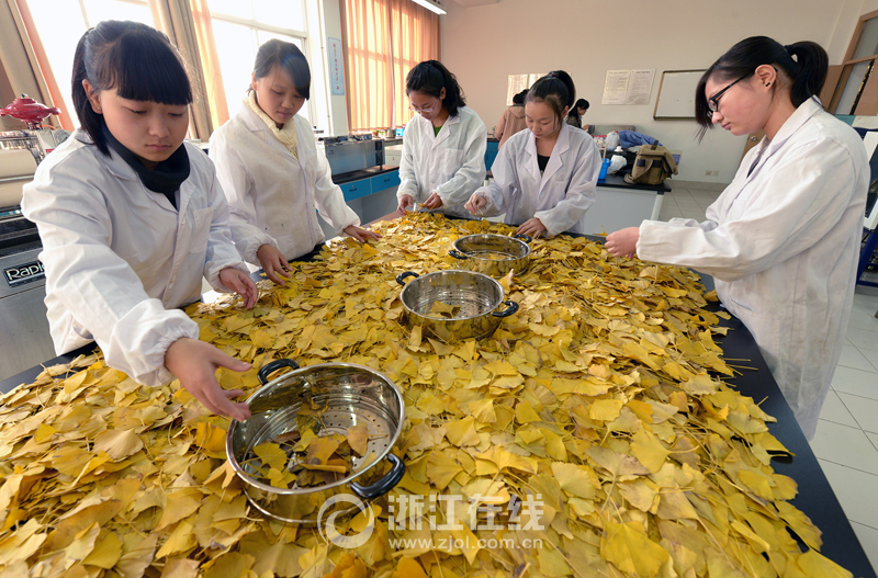 浙紡院一研究成果獲國家10項專利 純天然植物染料服裝受青睞