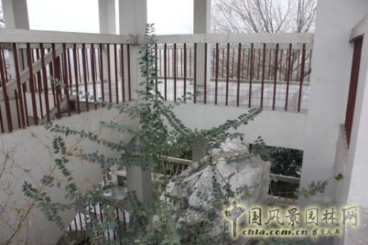 【園冶講壇】邱冰：《傳統(tǒng)園林文本的現(xiàn)代轉(zhuǎn)譯：園林建筑的本土探索》