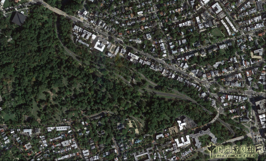 【園冶講壇】馬一鳴：規劃設計中的景觀基底