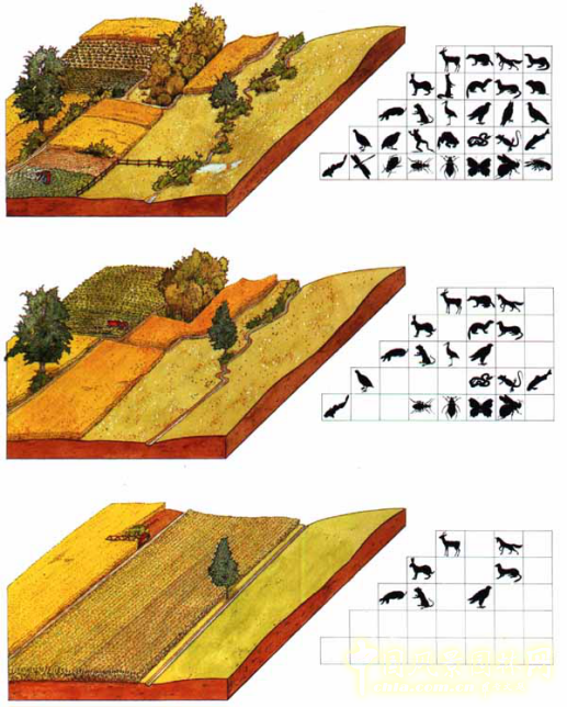 【園冶講壇】馬一鳴：規劃設計中的景觀基底