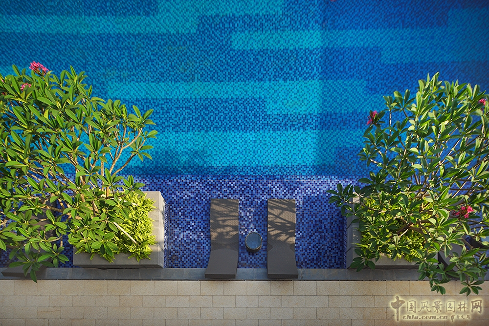 2016園冶杯:萬科南寧金域藍灣展示區景觀設計