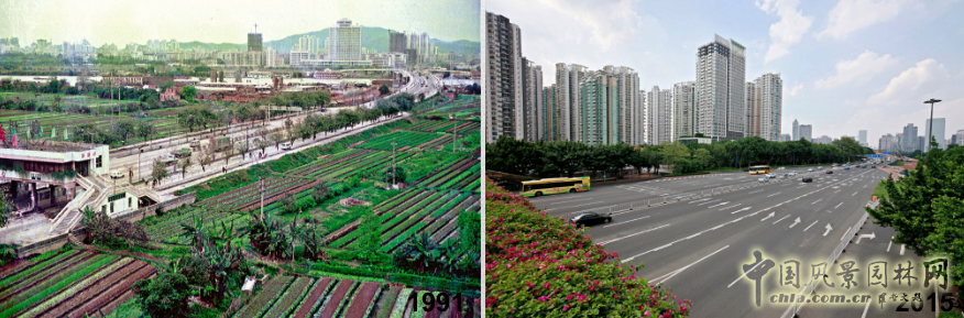 【園冶講壇】王才強(qiáng)：城市中的藍(lán)與綠