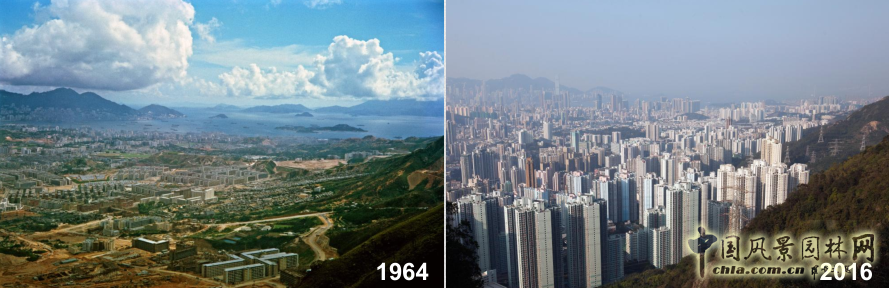 【園冶講壇】王才強(qiáng)：城市中的藍(lán)與綠