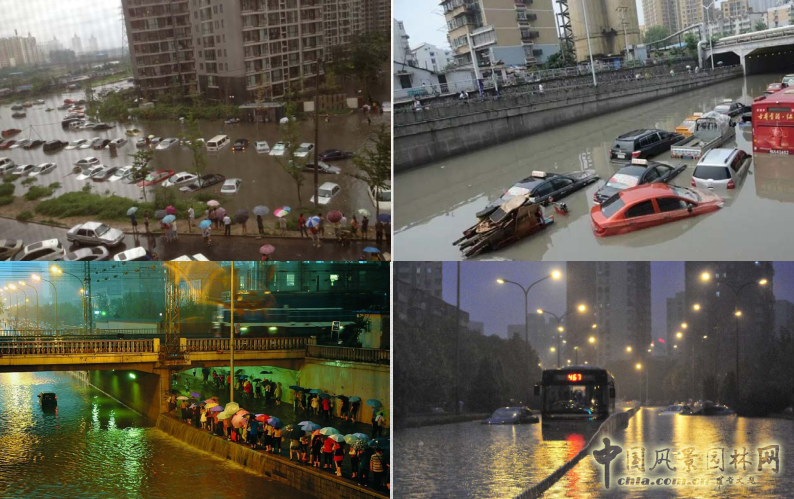 【園冶講壇】王才強(qiáng):城市中的藍(lán)與綠