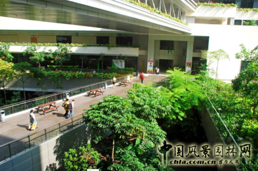 【園冶講壇】王才強：城市中的藍與綠