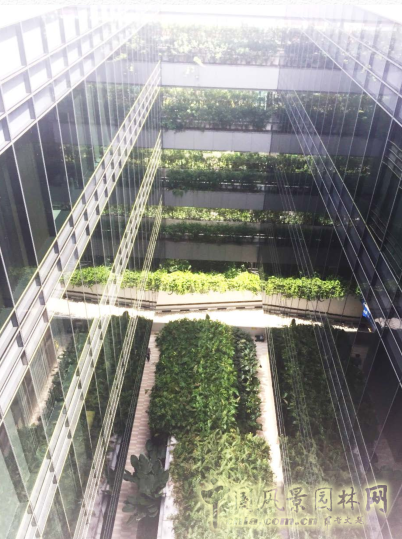 【園冶講壇】王才強:城市中的藍與綠