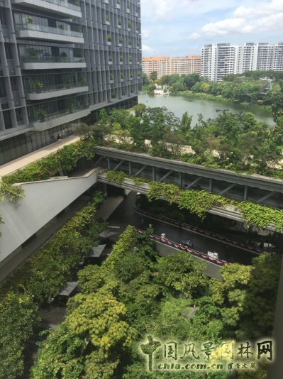 【園冶講壇】王才強:城市中的藍與綠