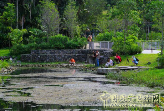 【園冶講壇】王才強(qiáng):城市中的藍(lán)與綠