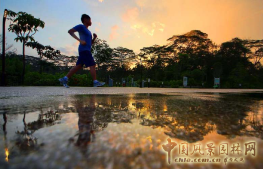 【園冶講壇】王才強(qiáng):城市中的藍(lán)與綠