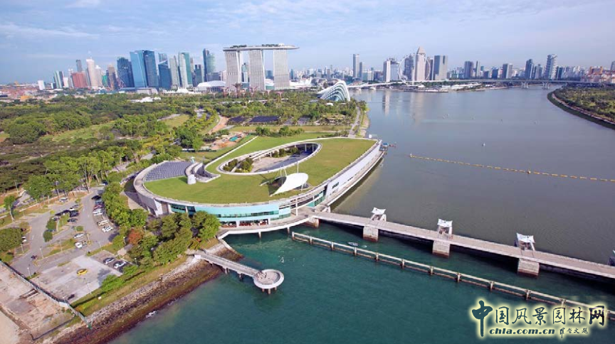 【園冶講壇】王才強(qiáng):城市中的藍(lán)與綠