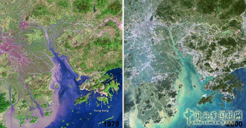 【園冶講壇】王才強(qiáng)：城市中的藍(lán)與綠