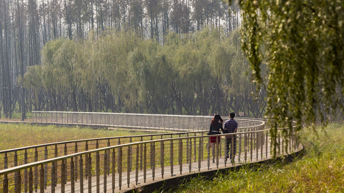 SWA設計事務所:長沙巴溪洲島景觀設計項目