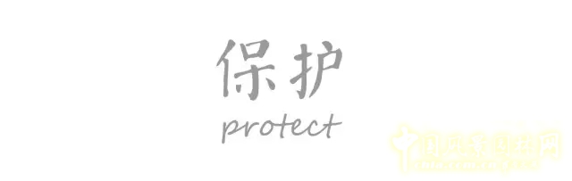 景觀學(xué)術(shù):5分鐘讓你了解棕地