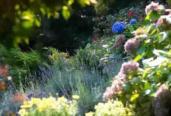 花園種植設(shè)計：花園里種出來的“音樂”