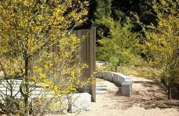 花園種植設計：花園里種出來的“音樂”