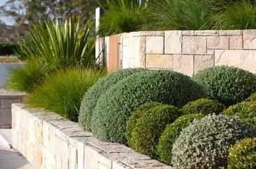 花園種植設計：花園里種出來的“音樂”