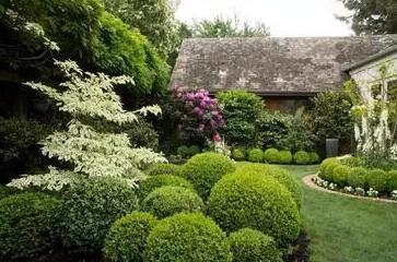 花園種植設計：花園里種出來的“音樂”