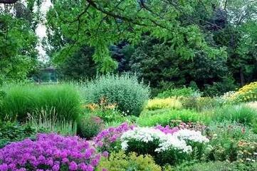 花園種植設計：花園里種出來的“音樂”