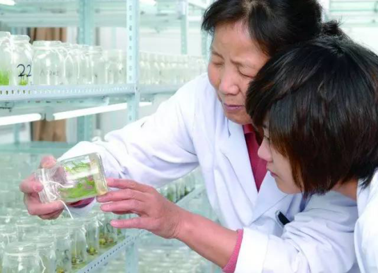 大數據時代 蒙草靠自身力量實現精準修復生態