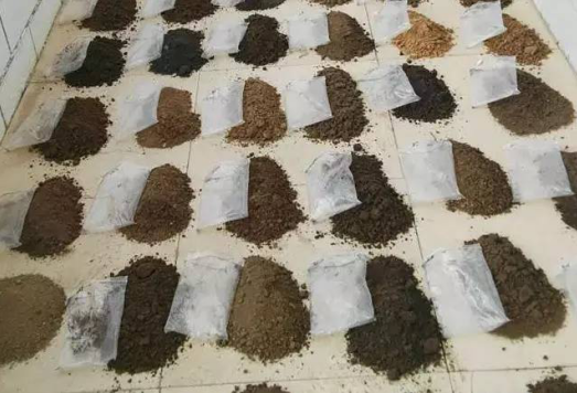 大數(shù)據(jù)時代 蒙草靠自身力量實現(xiàn)精準修復(fù)生態(tài)