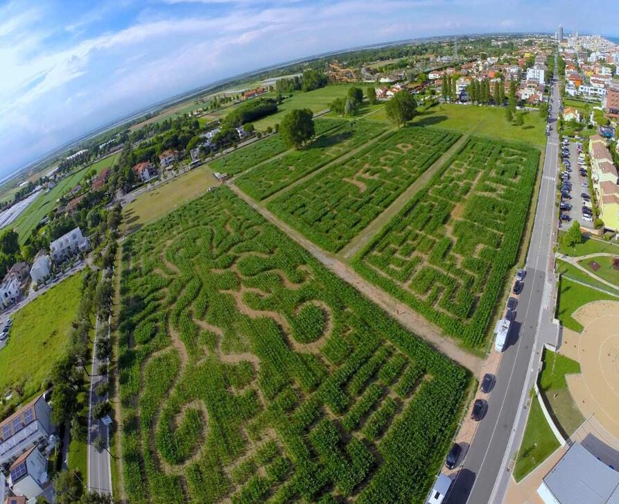 意大利威尼斯玉米田迷宮