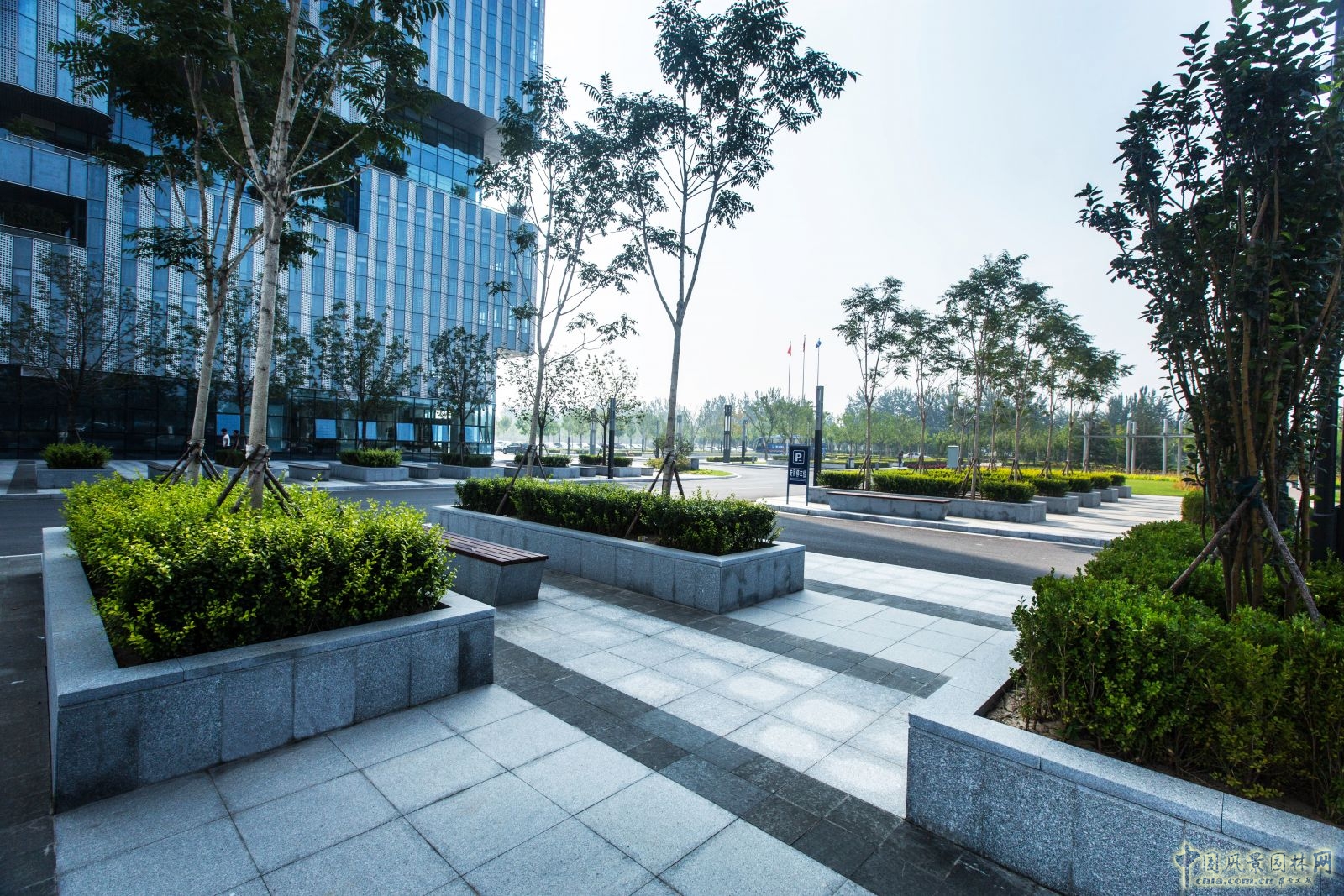 2016園冶杯：滄州明珠大廈景觀