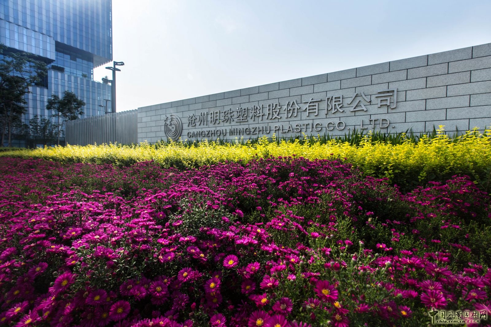 2016園冶杯：滄州明珠大廈景觀