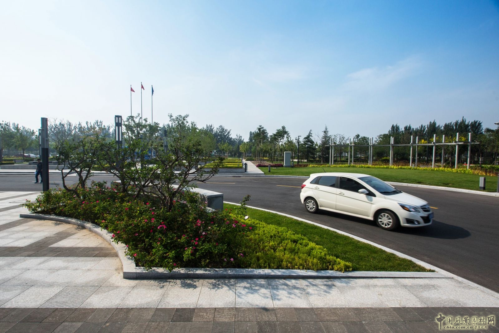 2016園冶杯：滄州明珠大廈景觀