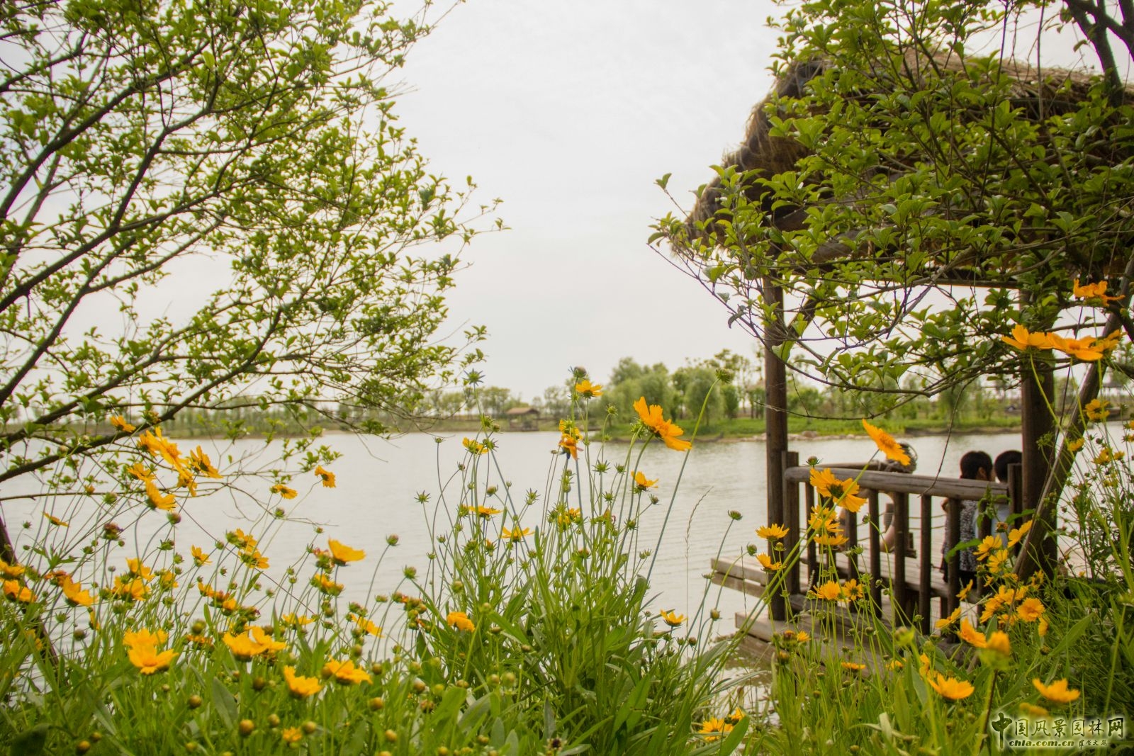 2016園冶杯:杵山生態(tài)公園