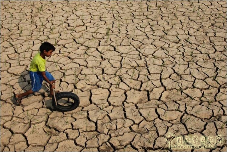 【園冶講壇】荷蘭NL:從海綿城市到海綿國度