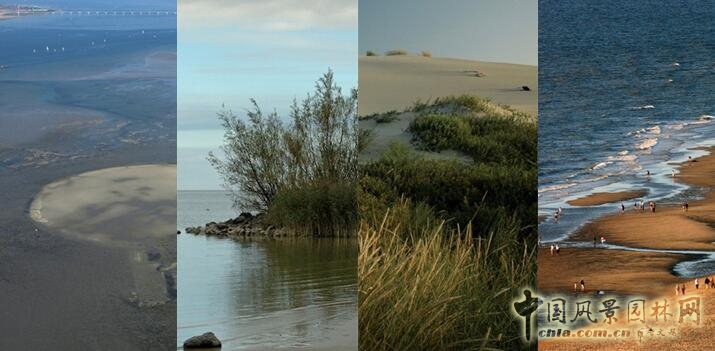 【園冶講壇】荷蘭NL:從海綿城市到海綿國度