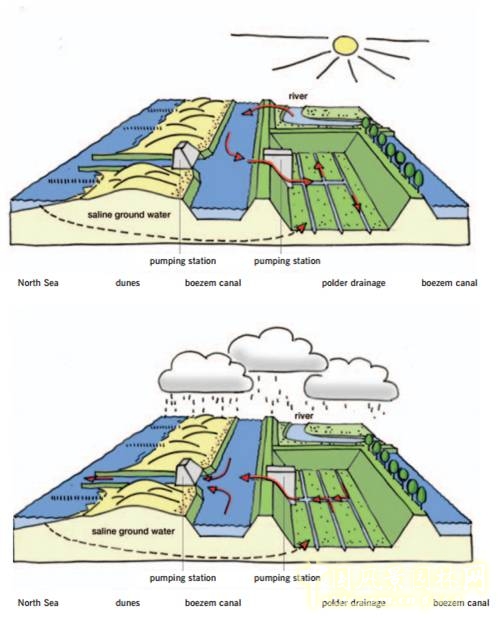 【園冶講壇】荷蘭NL:從海綿城市到海綿國度
