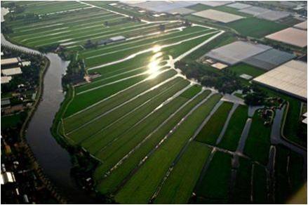 【園冶講壇】荷蘭NL:從海綿城市到海綿國度