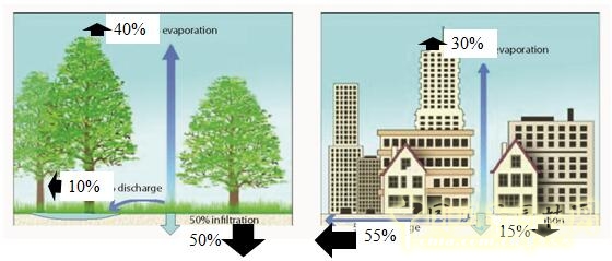 【園冶講壇】荷蘭NL:從海綿城市到海綿國度