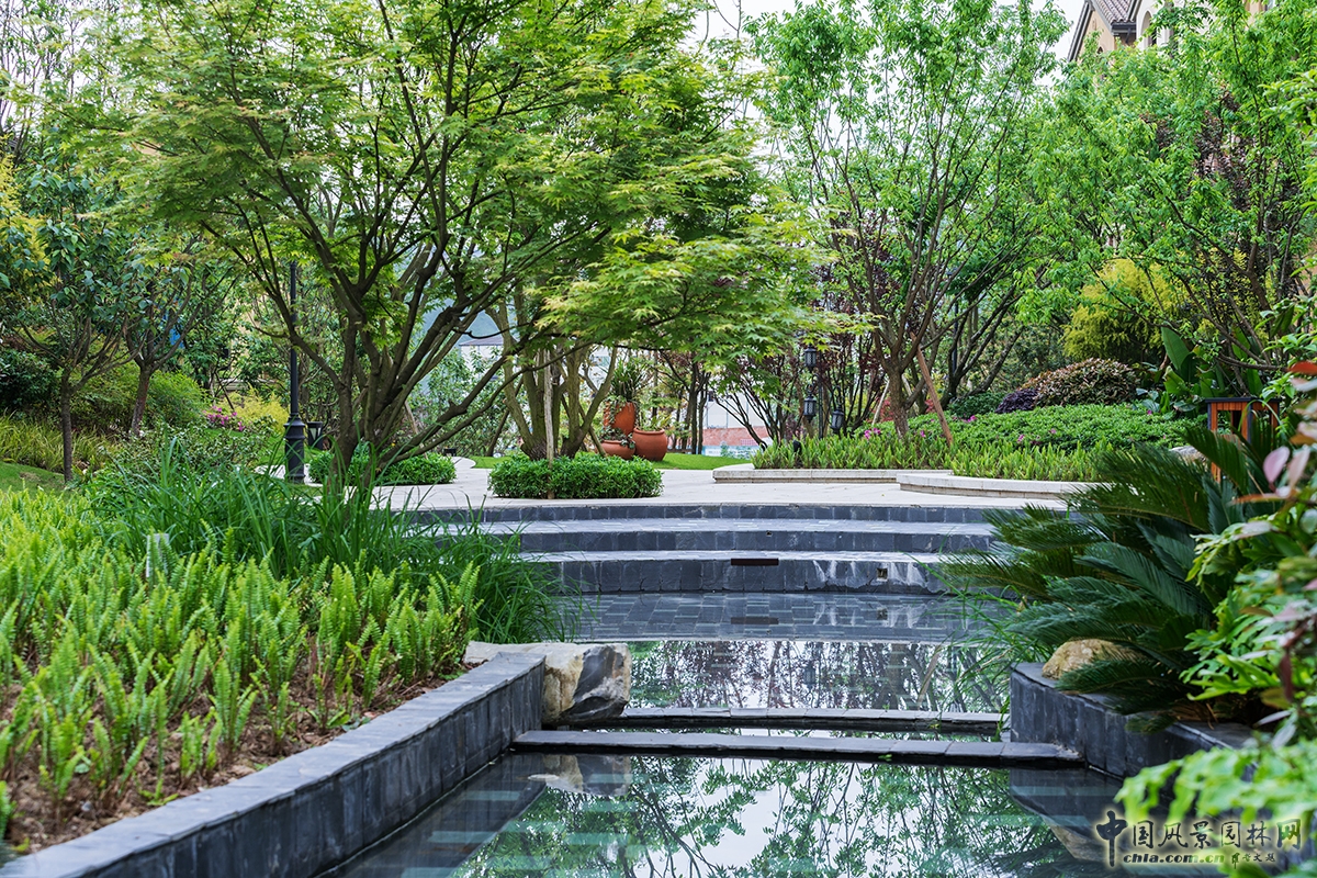 2016園冶杯專業(yè)獎(jiǎng)參賽項(xiàng)目:龍湖·兩江新宸