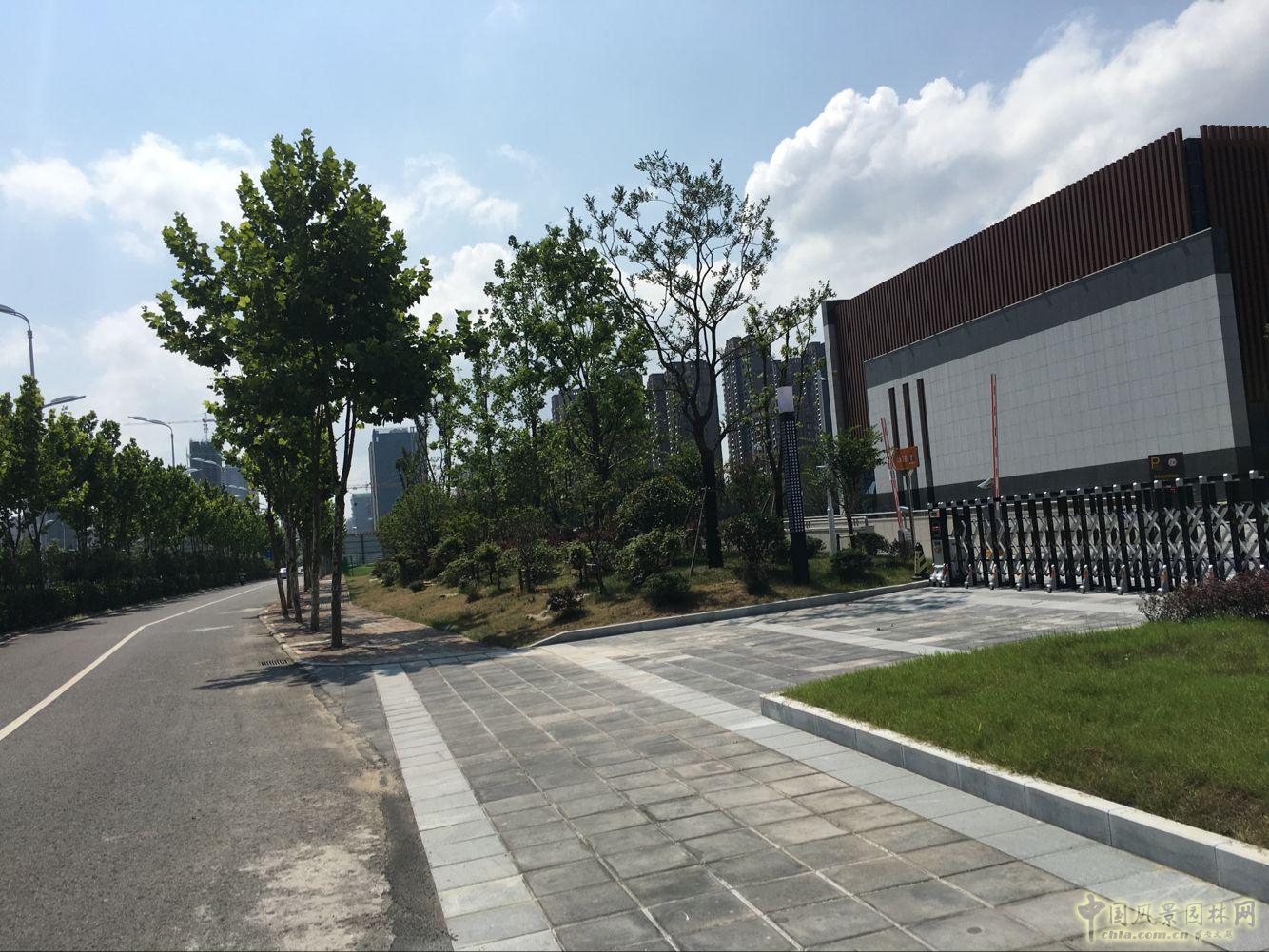 2016園冶杯:安徽城鄉(xiāng)規(guī)劃大廈景觀綠化工程