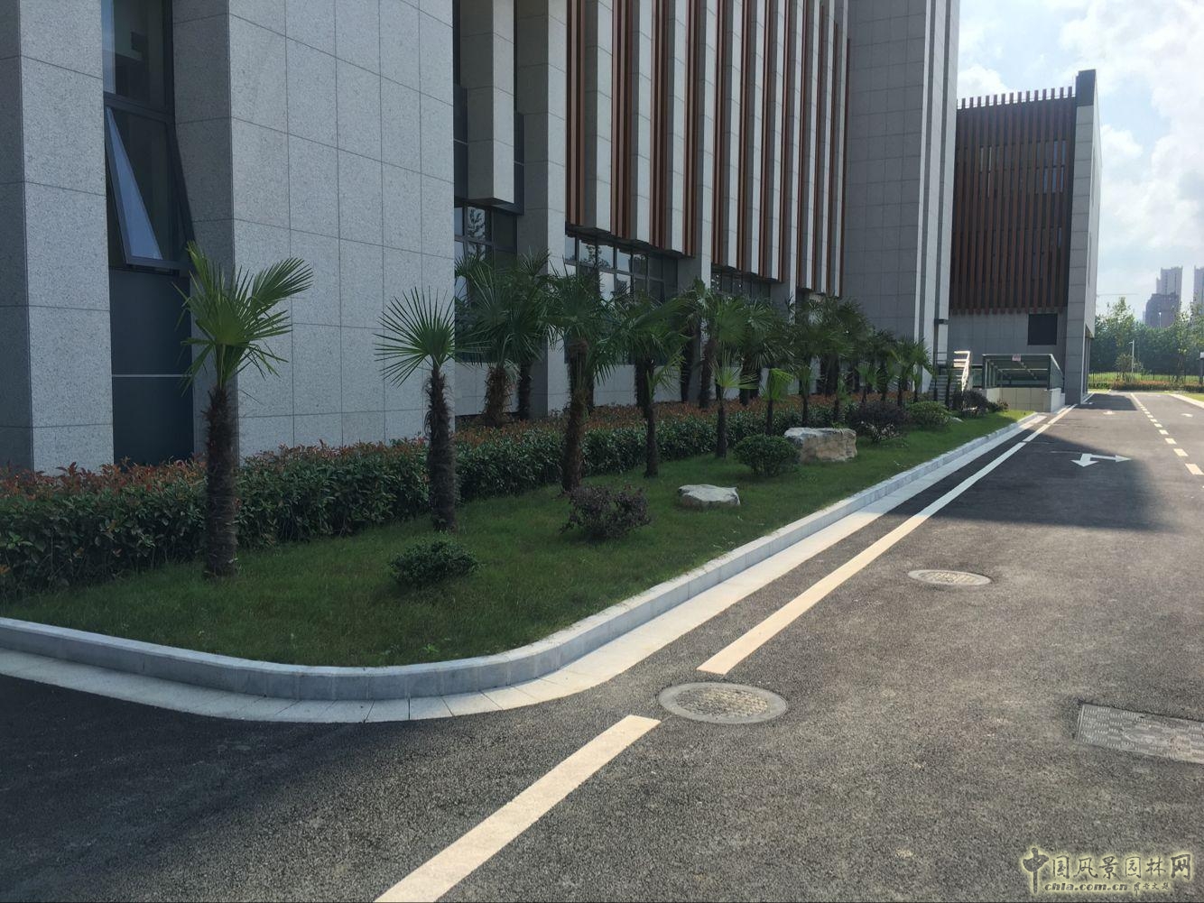 2016園冶杯:安徽城鄉(xiāng)規(guī)劃大廈景觀綠化工程