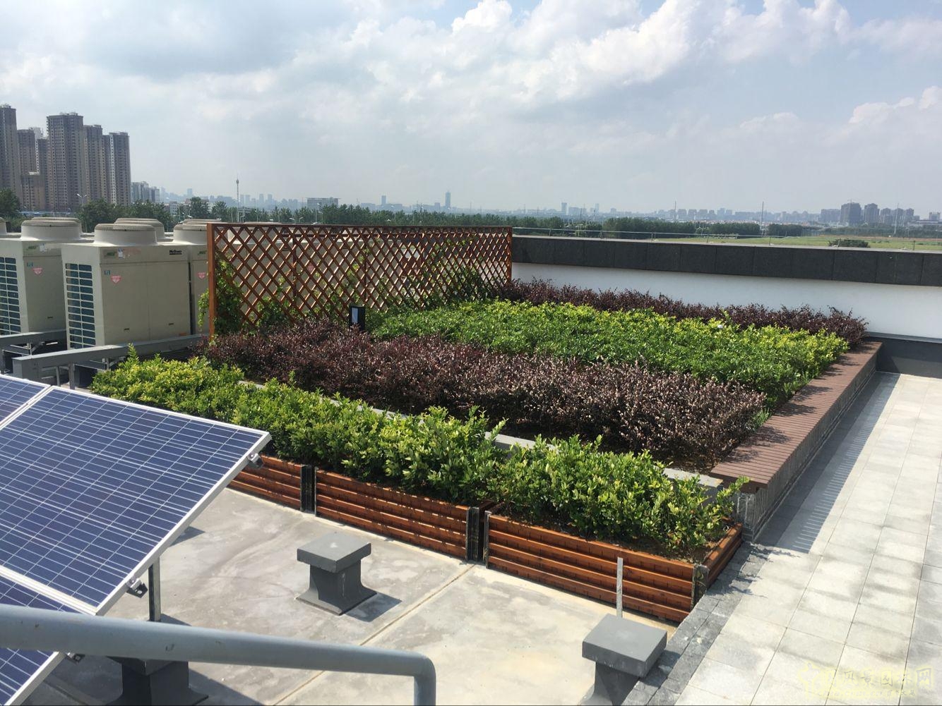 2016園冶杯:安徽城鄉(xiāng)規(guī)劃大廈景觀綠化工程